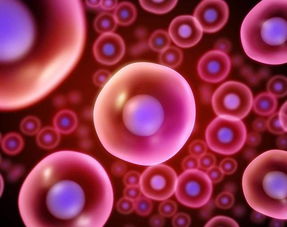 你的生活環境 帶來多少不孕影響 真的知道嗎