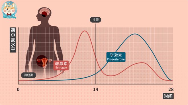 科學避孕方法匯總!享受七夕前,你要先了解這些知識|圖文