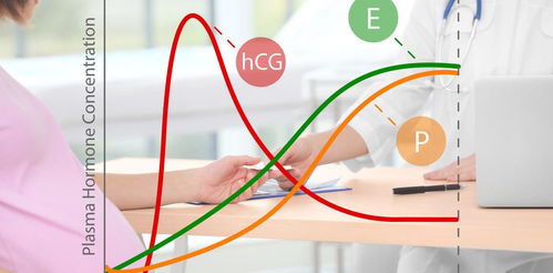 3種激素共同維持女性生殖系統功能,主導女性健康,不妨了解一下