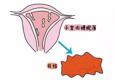 『知識』關于子宮,女性一定要知道的5件事!