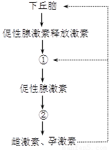 右圖為雌性高等動物性激素分泌的調節示意圖.請據圖回答問題. (1)性激素屬于有機物中的 物質.性激素分泌活動的調節中樞是 . (2)促性腺激素可以調節② 的分泌活動. (3)雌激素能促進雌性生殖器官的發育和 的生成.還能激發和維持 . (4)孕激素能促進子宮內膜的生長發育.為 著床準備條件. (5)當血液中的雌激素和孕激素達到一定水平時 題目和參考答案