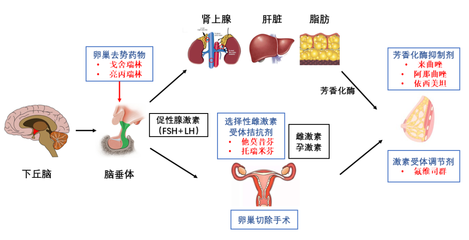 "粉紅絲帶月"科普專(zhuān)欄 :聽(tīng)說(shuō)內(nèi)分泌治療要持續(xù)十年,是真的