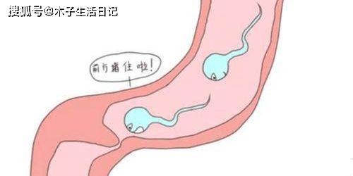 晉中博仕 男性少精癥發(fā)生的原因你知道嗎 科學(xué)避開(kāi)