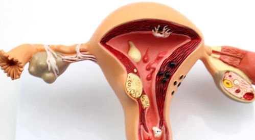 女人懷孕后，姨媽去哪兒了？了解生殖激素，感動生命的奇妙旅程