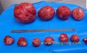 生殖系統與生殖激素