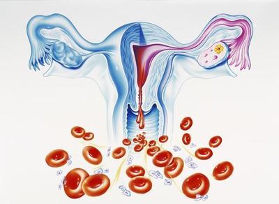 月經(jīng)一般來(lái)幾天算正常？從周期與生殖激素角度解讀你的健康狀況